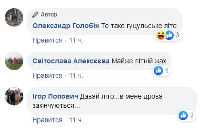 То таке гуцульське літо: сеть развеселила метель в Карпатах в последний день весны (видео)