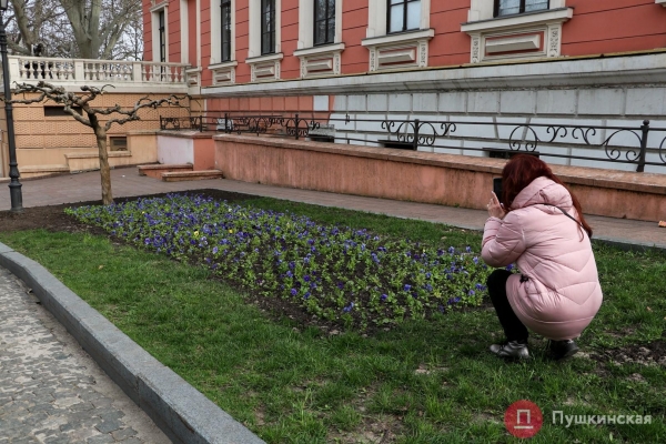 Краски, которых всем нам не хватало: большая прогулка по расцветающей Одессе. Фоторепортаж