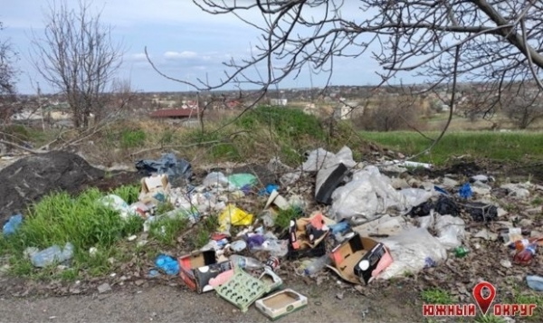 На въезде в Южный опять образовалась стихийная свалка