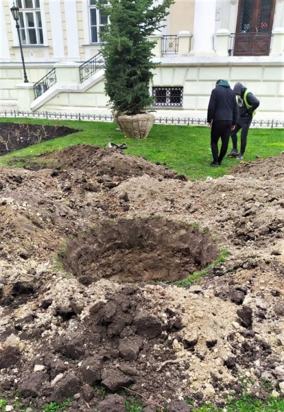 Возле Археологического музея в Одессе высадили 5-метровые голубые ели. Фото