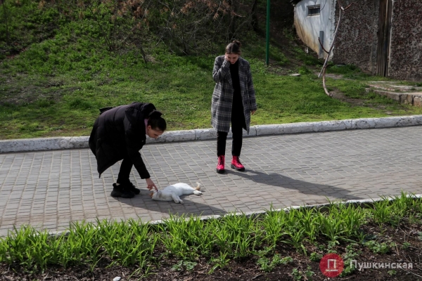 Краски, которых всем нам не хватало: большая прогулка по расцветающей Одессе. Фоторепортаж