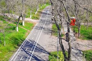 Хорошие новости: на Трассе Здоровья расширили и разделили велодорожку