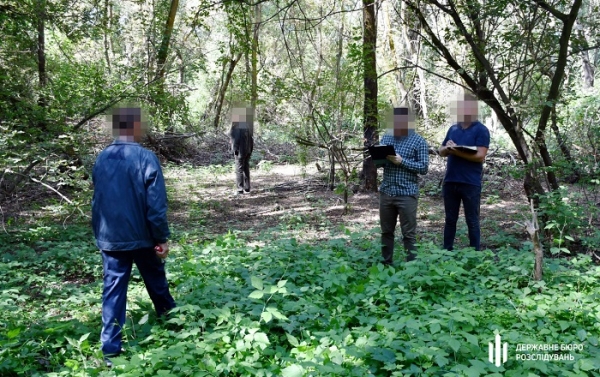 Лесничий Одесского лесхоза пропустил вырубку 324 клёнов и шелковиц