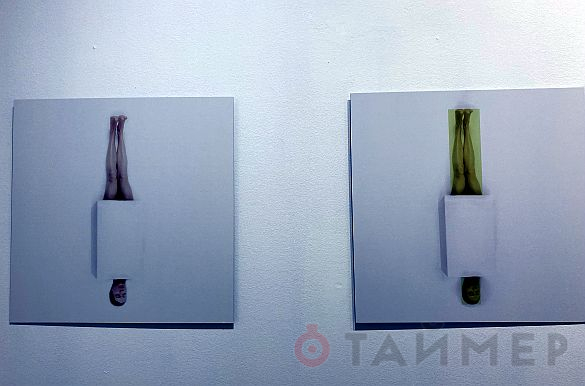 Растения-хищники выставлены в Музее современного искусства Одессы