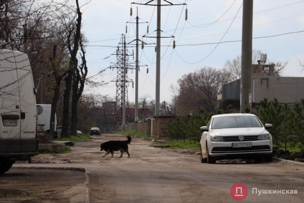 Одесские дорожники готовы выложить 69 миллионов за капремонт «улицы с потенциалом» на Ближних Мельницах