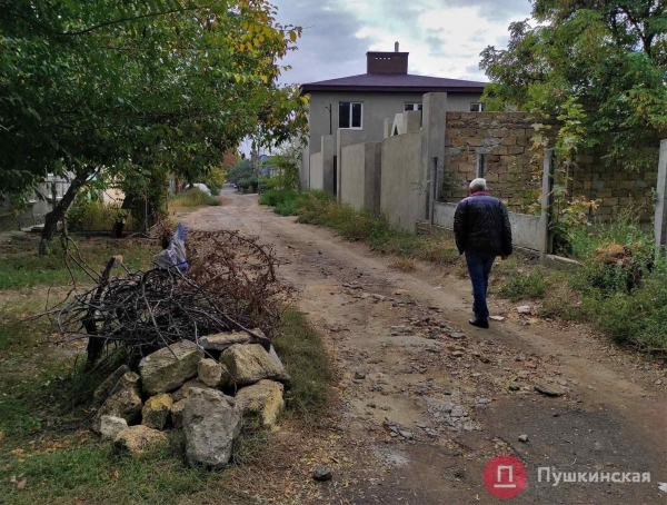 Неприметную улицу на Слободке ждет капремонт за 10 миллионов гривен: как она выглядит сейчас