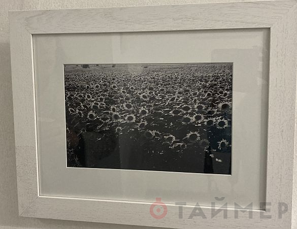«Абстракция формы»: одесский фотохудожник дебютировал чёрно-белой экспозицией 