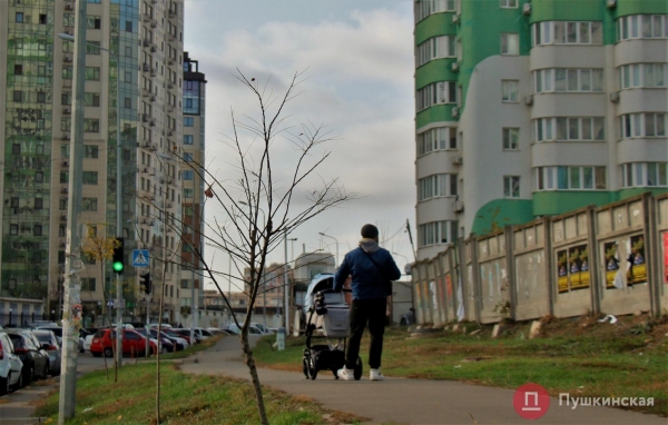 «Зеленые легкие» Одессы: зачем городу деревья и кто за них в ответе
