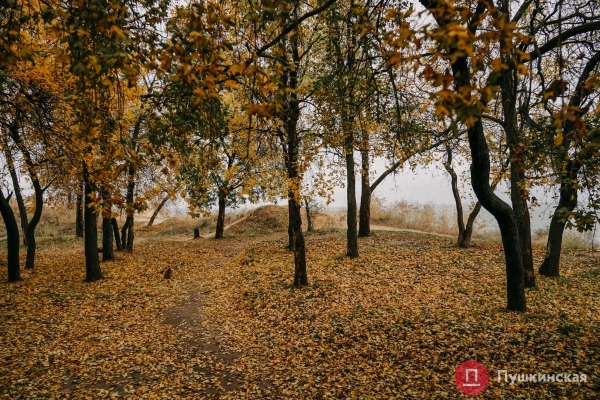 Золотая листва, море и абсолютный покой: прогулка по осенней Трассе здоровья. Фоторепортаж