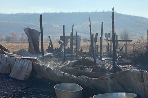 На ферме под Одессой, где сгорели овцы, рассказали подробности пожара