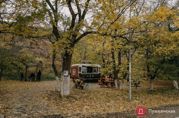 Золотая листва, море и абсолютный покой: прогулка по осенней Трассе здоровья. Фоторепортаж