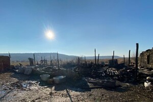 На ферме под Одессой, где сгорели овцы, рассказали подробности пожара