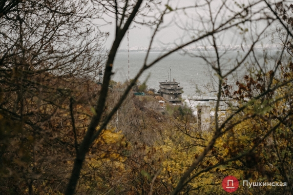 Золотая листва, море и абсолютный покой: прогулка по осенней Трассе здоровья. Фоторепортаж