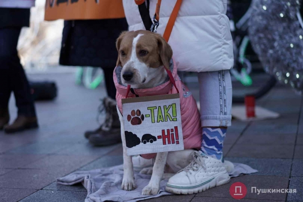 Пешеходную зону в центре Одессы официально поставили на зимнюю паузу: дата закрытия