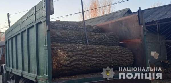 На севере Одесской области поймали незаконных дровосеков