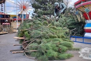 В центре Одессы начали устанавливать новогоднюю елку
