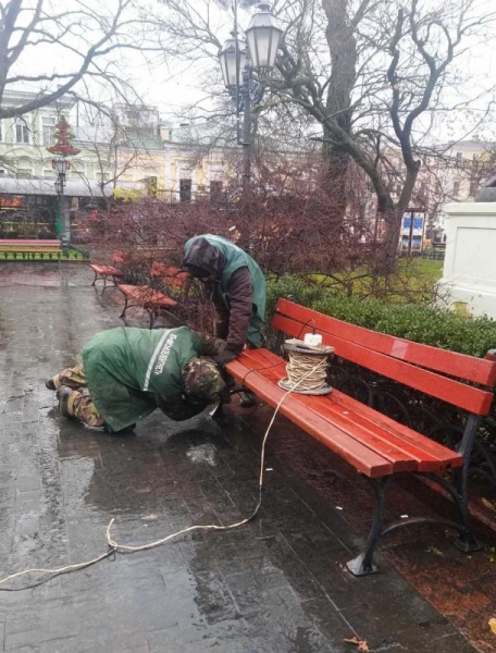 Зимнее озеленение: в Одессе продолжают сажать розы