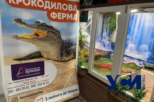 В Одессе зоозащитники вызвали полицию на "ферму с крокодилами"