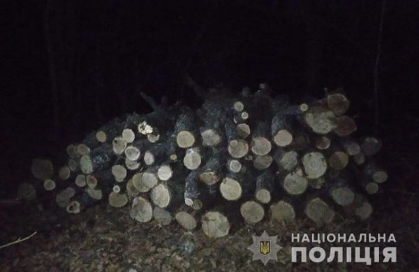 На севере Одесской области поймали незаконных дровосеков