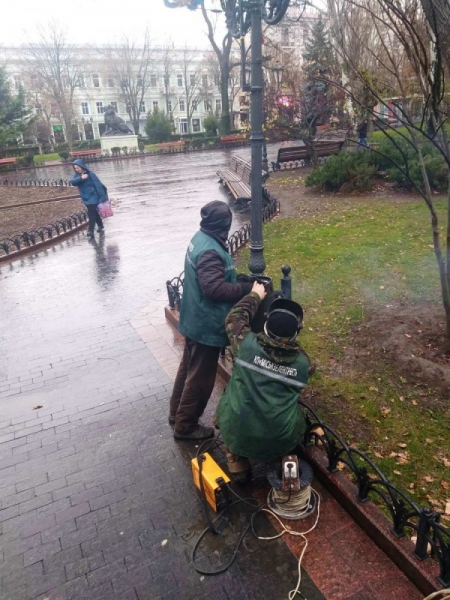 Зимнее озеленение: в Одессе продолжают сажать розы