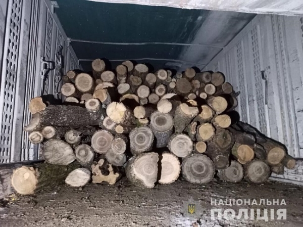 На севере Одесской области поймали незаконных дровосеков