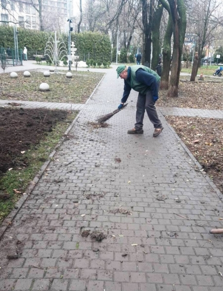 Зимнее озеленение: в Одессе продолжают сажать розы