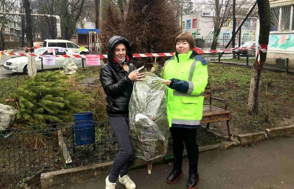 За 10 дней 2022 года полтысячи одесситов сдали елки на переработку