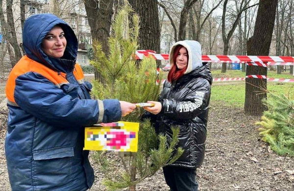 За 10 дней 2022 года полтысячи одесситов сдали елки на переработку
