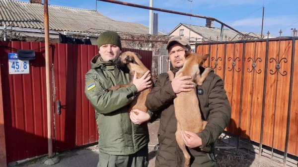 Одесским пограничникам подарили породистых щенков  