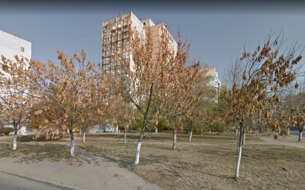 В зелёной зоне на Таирова спилили деревья ради строительства автомойки
