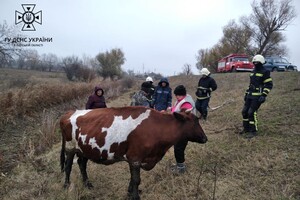 Смертельный пожар и спасение коровы: как прошли сутки у одесских спасателей