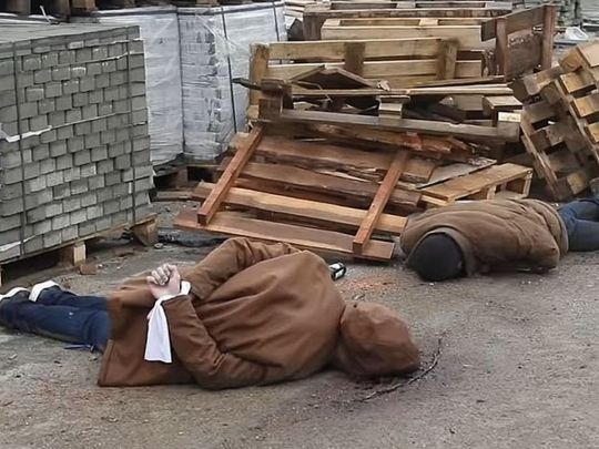 Відвідувачам Ермітажу несподівано розповіли правду про Бучу
