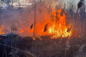 В Суворовском районе Одессы горели поля фильтрации: подробности пожара