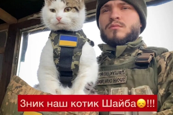 В Одесской области пропал боевой котик "Шайба"