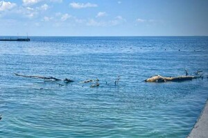 Свежий мониторинг воды в Одессе: что нашли 23 июня 