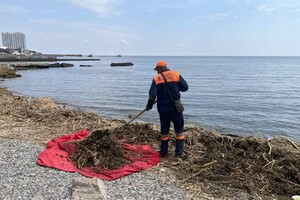 Свежий мониторинг воды в Одессе: что нашли 23 июня 