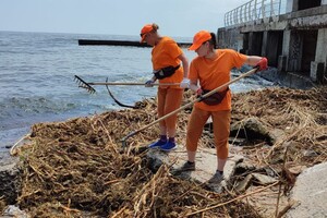 Свежий мониторинг воды в Одессе: что нашли 23 июня 