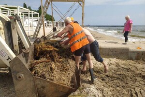 Свежий мониторинг воды в Одессе: что нашли 23 июня 