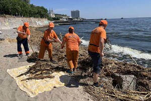 Свежий мониторинг воды в Одессе: что нашли 23 июня 