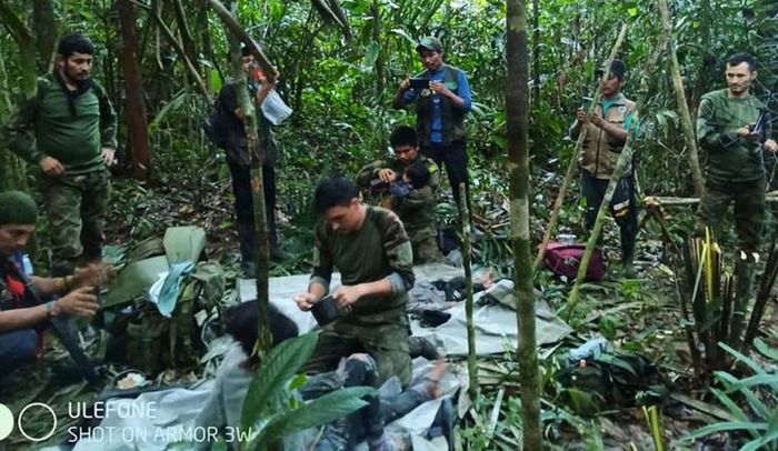 Жували борошно і підніжний корм: подробиці виживання дітей, які провели 40 днів у джунглях після авіакатастрофи