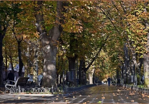 Концерт CHEEV и орган в Оперном: куда пойти в Одессе на этих выходных