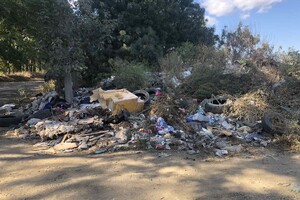 Возле одного из ЖК Одессы обнаружили незаконную свалку