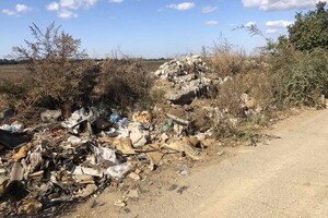 Возле одного из ЖК Одессы обнаружили незаконную свалку