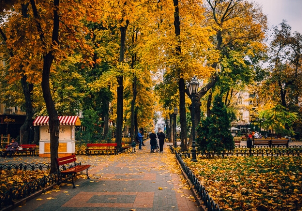 Теплые дни и уже прохладные ночи: какая погода будет в Одессе в эти выходные