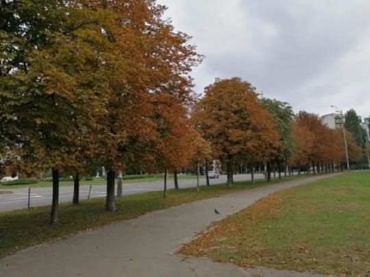 Потепління буде коротким, натомість у суботу — «рахат-лукум»: синотик розповіла, коли в Україні знову похолодає