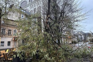 Более 50 упавших деревьев: к каким последствиям привела непогода в Одессе