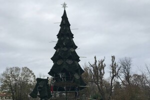 В центре Одессы установили новогоднюю елку (фото, видео)