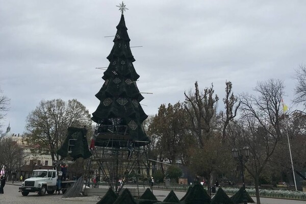 В центре Одессы установили новогоднюю елку (фото, видео)