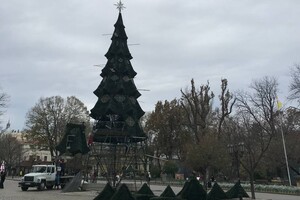 В центре Одессы установили новогоднюю елку (фото, видео)