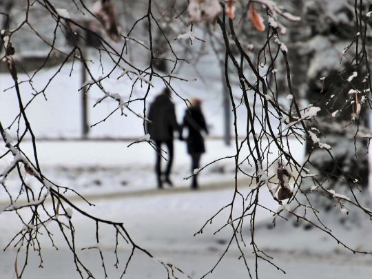 Теплий, але вітряний: синоптик розповіла, яким буде лютий в Україні (відео)